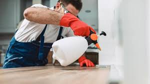 Best Residential Pest Control  in Springfield, MN